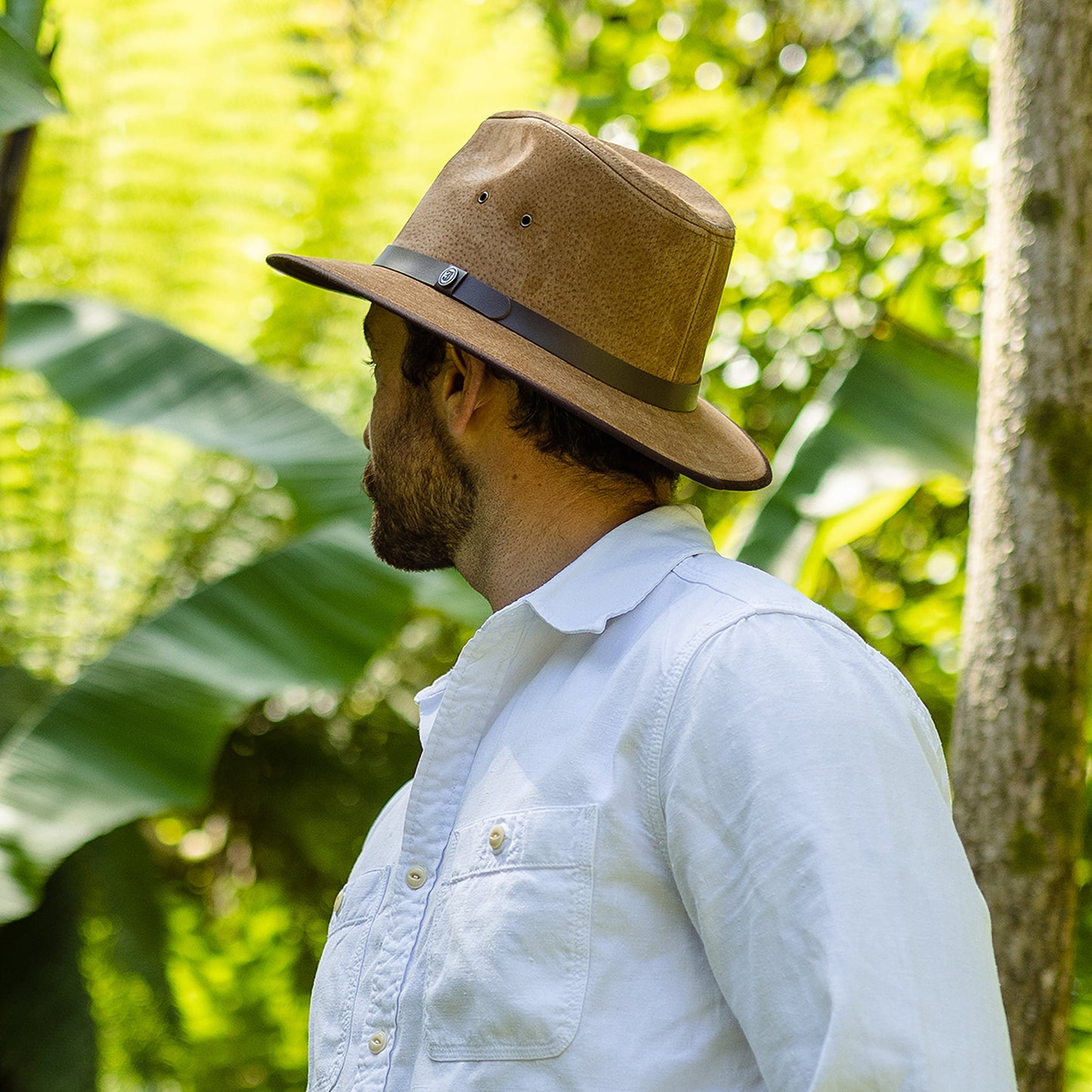 Chapeau Fedora Safari en Cuir Nubuck marron JAXON & JAMES - VENTE EN GROS