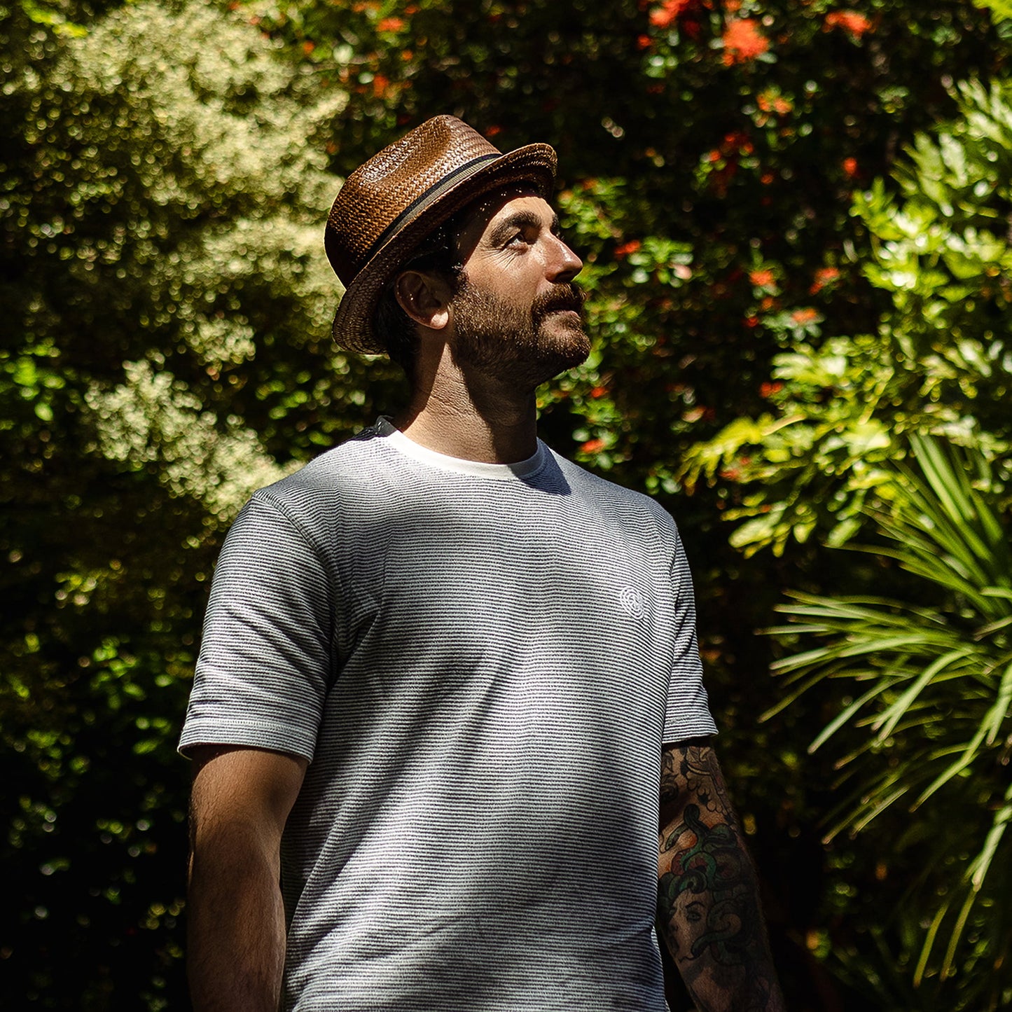 Chapeau Trilby Tribeca en Paille JAXON & JAMES - VENTE EN GROS