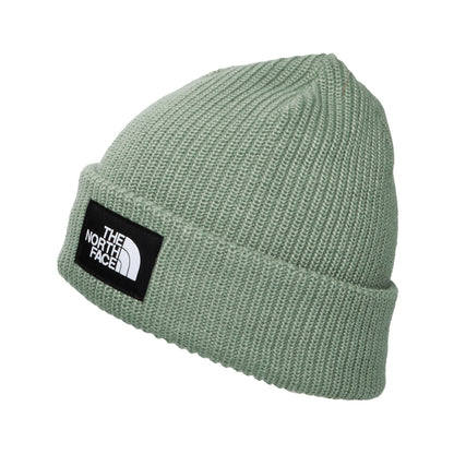 Bonnet Doublé Recyclé Salty Dog sauge THE NORTH FACE