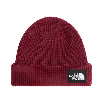 Bonnet Doublé Recyclé Salty Dog bordeaux THE NORTH FACE