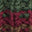 Image Swatch pour le code produit du chapeau : 740587