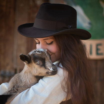 Chapeau Fedora Ford marron JAXON & JAMES - VENTE EN GROS